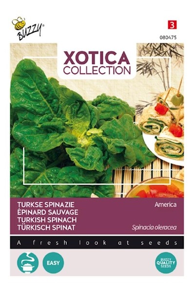 Špenát turecký,  Spinacia oleracea cca 2 g